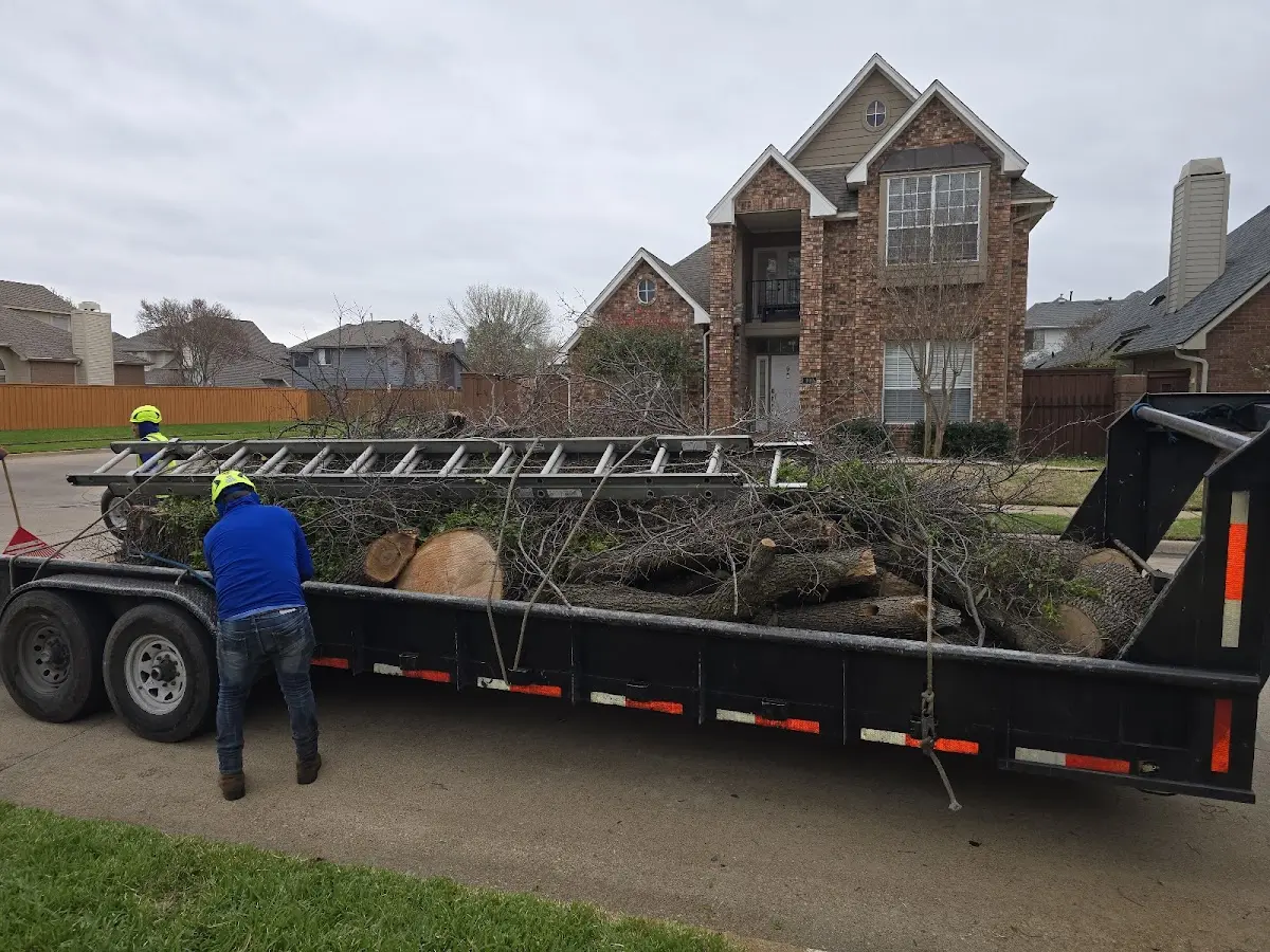 Expert Tree Fertilization with proper safety equipment in Grand Island